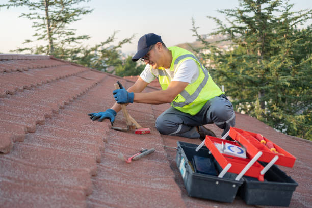 Best Local Roofing Companies  in Mosinee, WI